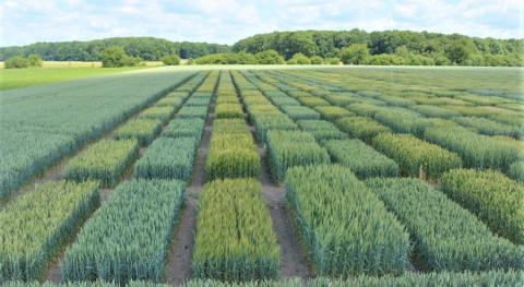 Вінницькі аграрії оптимізують технологічні процеси у рослинництві Рис.1