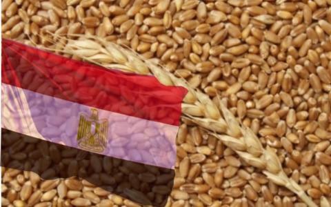 Дешева українська пшениця знизила закупівельну ціну на тендері GASC в Єгипті Рис.1