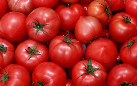 Новий овочевий пояс України: чиї помідори замінять херсонські Рис.1