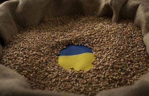 Шмигаль закликав уряд Словаччини зняти односторонні обмеження на імпорт української агропродукції Рис.1
