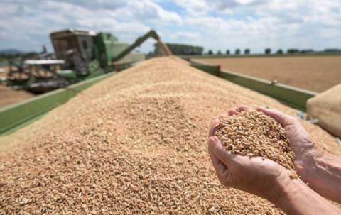 Світові ціни на пшеницю опускаються, але в Україні вони продовжують зростати Рис.1