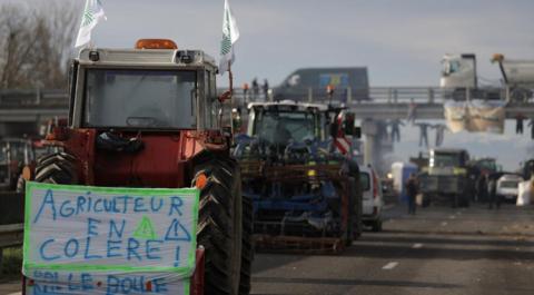 У Франції протестують фермери: серед вимог — обмеження української агропродукції Рис.1