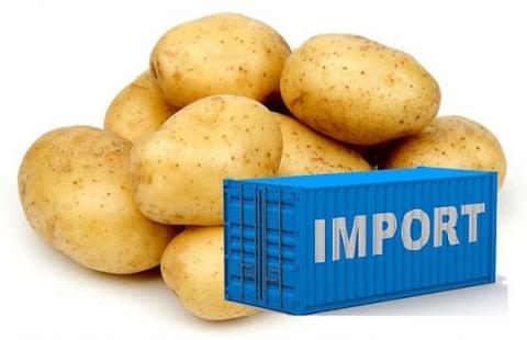 Україна почала імпортувати картоплю з Польщі Рис.1