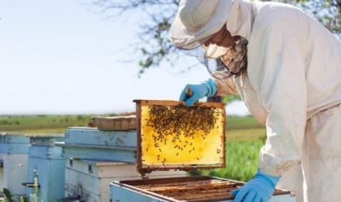 Вінницька громада збільшить бджолярам фінансову підтримку Рис.1