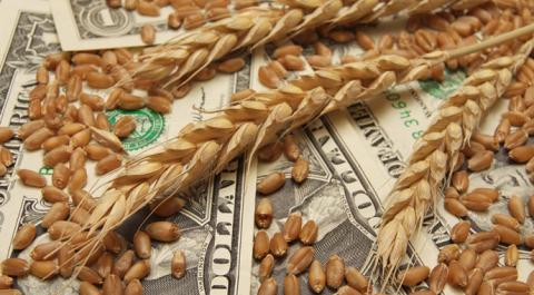 На експорт пішло понад 25,5 млн т українського зерна Рис.1