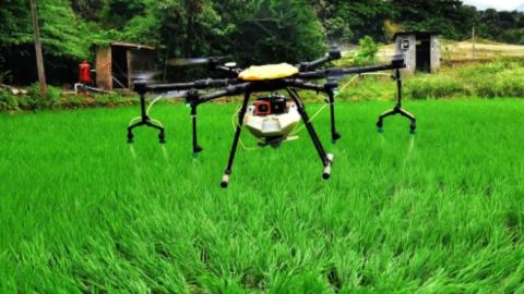 Революція у вирощуванні рису: зростання використання дронів прямого посіву в Індії Рис.1