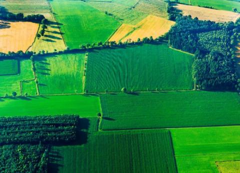 Ринок землі в Україні розвивається позитивно: аналітика від експерта Рис.1
