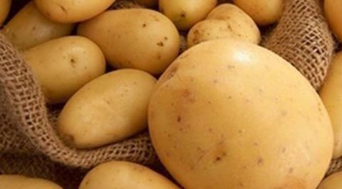 У Мінагрополітики обговорили адаптацію галузі з виробництва картоплі до норм ЄС Рис.1