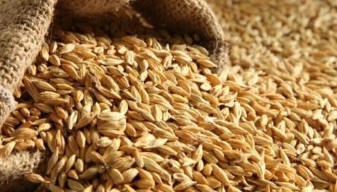 Урожай зернових в Україні сягнув майже 59 млн тонн Рис.1