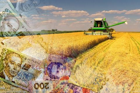 Урядові ініціативи з підтримки аграріїв будуть корисними для виробників Кіровоградщини, - Тарас Висоцький Рис.1