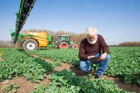 Bayer тестує інструмент генеративного штучного інтелекту для сільського господарства Рис.1