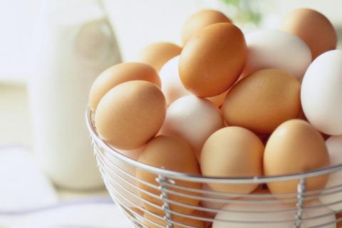Експорт яєць з України за 2 місяці зріс на 41,4% Рис.1