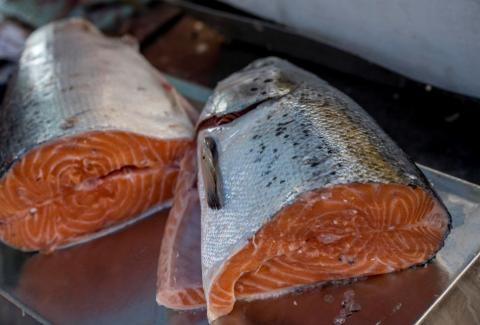 ФАО надасть корми для підтримки виробників лососевих видів риб по всій Україні Рис.1