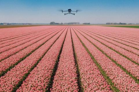 ШІ та дрони допомагають фермерам виявляти хвороби рослин Рис.1