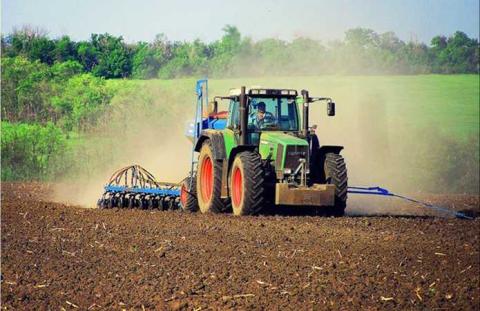 У Черкаській області збільшать площі для посіву зернових Рис.1