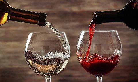 Аргентинські інвестори розвиватимуть крафтову виноробню на Одещині Рис.1