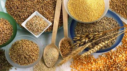ФАО підвищила прогноз світового виробництва зернових Рис.1
