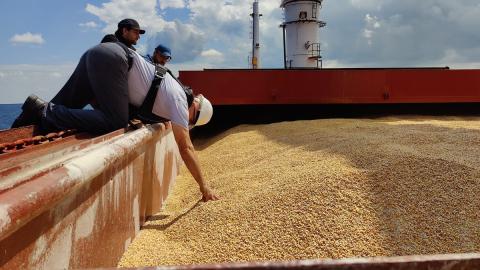 Гарний урожай дозволить Тунісу скоротити імпорт пшениці та ячменю Рис.1