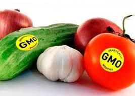 Генетично модифіковані продукти: переваги та ризики для споживачів Рис.1