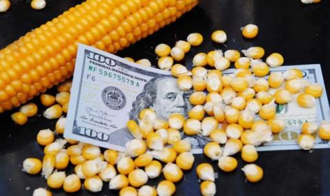 Китай відмовляється від української кукурудзи Рис.1