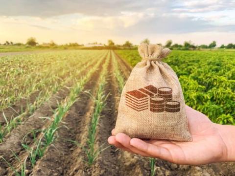 ПУМБ та Агроресурс-А пропонують вигідні кредити аграріям Рис.1