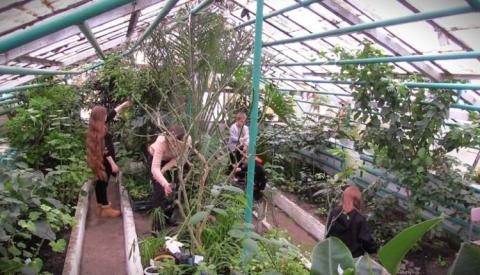 Школярі з Черкаської області вирощують в оранжереї понад 300 видів екзотичних рослин Рис.1