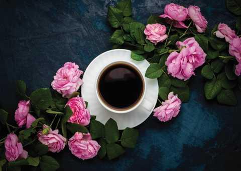 У неймовірному селі на Одещині з’явиться трояндова кав’ярня Рис.1