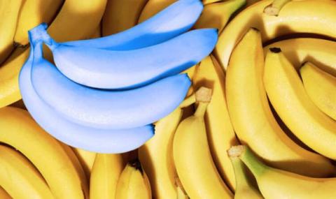 У світі процвітає вирощування блакитних бананів Рис.1