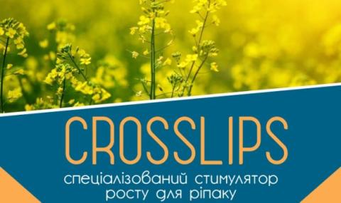 Українська компанія створила спеціалізований стимулятор росту для ріпаку CROSSLIPS Рис.1