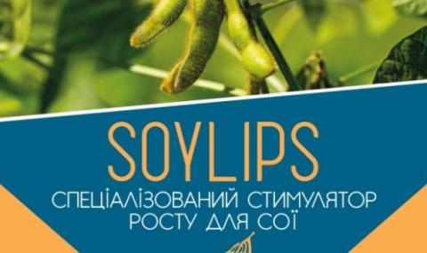В Україні розробили стимулятор росту для сої SOYLIPS, який підвищує врожайність Рис.1