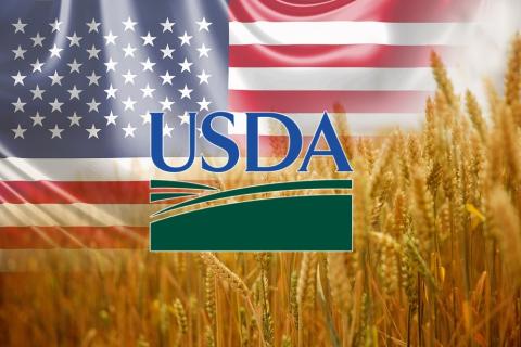 Збільшення прогнозів експорту для України, а також запасів у США опускає ціни на пшеницю Рис.1
