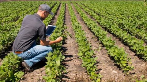AgriTask та Mapfre запускають першу в світі цифрову систему управління страховими претензіями для аграрного сектору