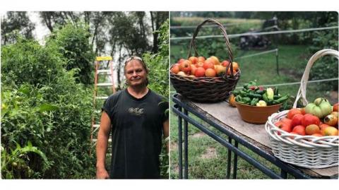 Американський фермер вирощує томати заввишки три метри Рис.1