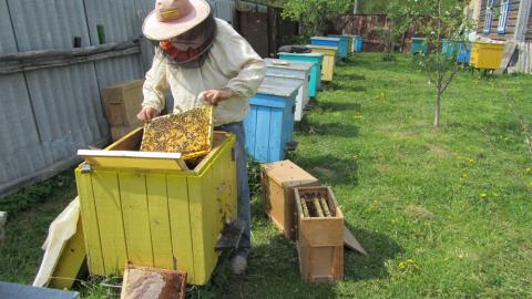 Бджолярі матимуть власний Центр юридичної підтримки Рис.1