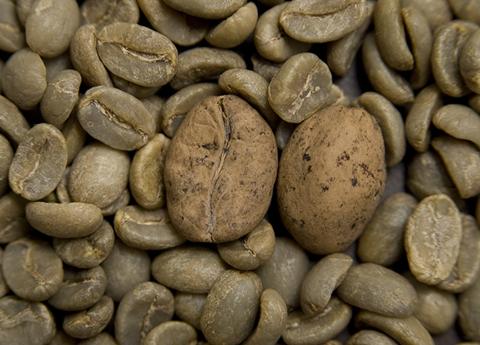 Більше половини диких видів кави виявилися під загрозою вимирання Рис.1