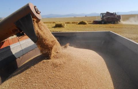 Експорт зернових в цілому зменшився на 11,4%, але жита збільшився в 3 рази Рис.1