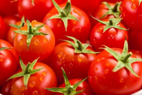 Експортний попит на томати в Україні падає, проте ціни продовжують активно зростати Рис.1