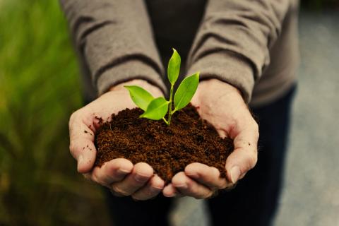 Озвучено основні зміни прийняття нового законопроекту «Про захист рослин» Рис.1