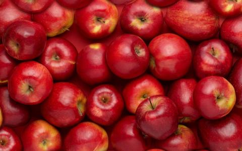 Індія зацікавлена в імпорті українських яблук Рис.1