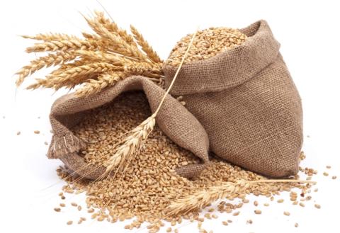 Індонезія вимагає від України просмажувати експортовану пшеницю Рис.1