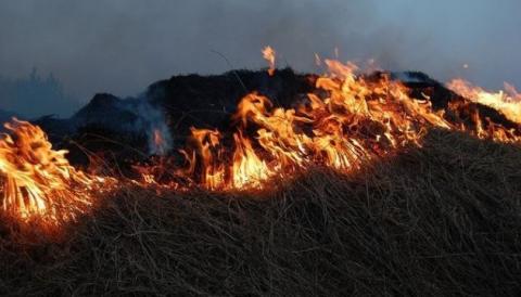 На Херсонщині загорілось пшеничне поле площею 100 гектарів Рис.1