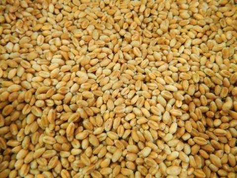На світовому ринку зменшилися запаси пшениці Рис.1