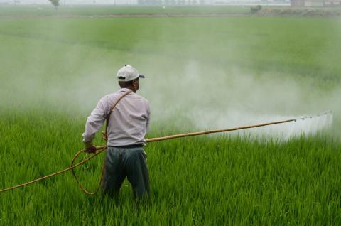 На Вінниччині склади з непридатними пестицидами промаркують спецзнаками Рис.1