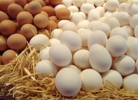 ОАЕ вподобали українські яйця та стали найбільшим покупцем Рис.1