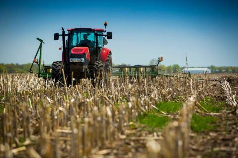 ООН прийняла резолюцію про захист прав фермерів і працівників в сільському господарстві Рис.1
