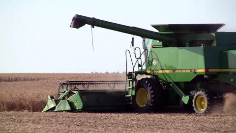 Ряд областей України оновить рекорди з врожайності пізніх зернових Рис.1