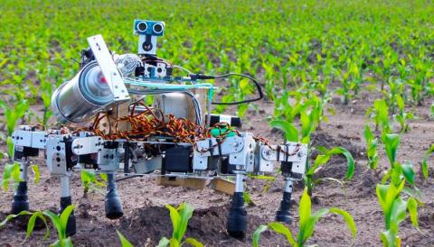 Штучний інтелект персоналізує сільське господарство Рис.1