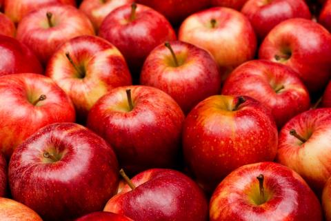 Сорти-аутсайдери помінялися ціновими тенденціями з лідерами - огляд ринку яблук за четвертий тиждень січня Рис.1