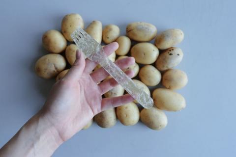 Студент створив «пластик» з картоплі Рис.1