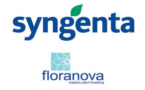 Syngenta придбала компанію Floranova Рис.1